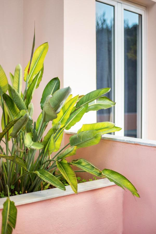 Aphrodite Studios & Apartment Bali  Exteriör bild